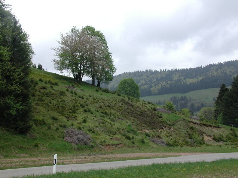 Roadbook-Tour durch den Schwarzwald - was für ein Blick
