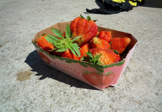 Frische Erdbeeren am Abreisetag
