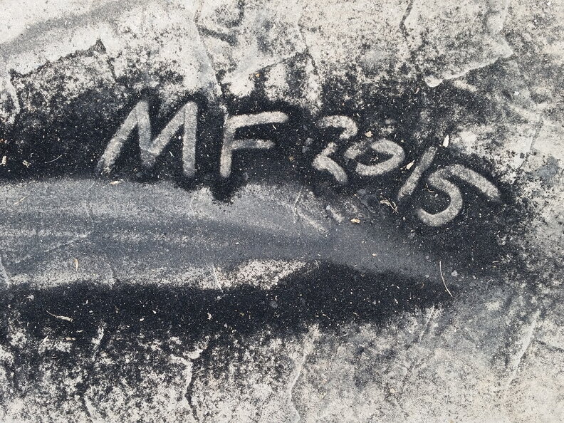 MF2015_Hoffmeister-046.jpg